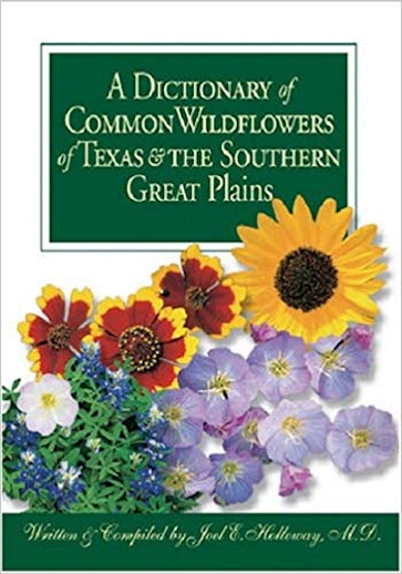 A Dictionary of Common Wildflowers of Texas and the Southern Great Plains