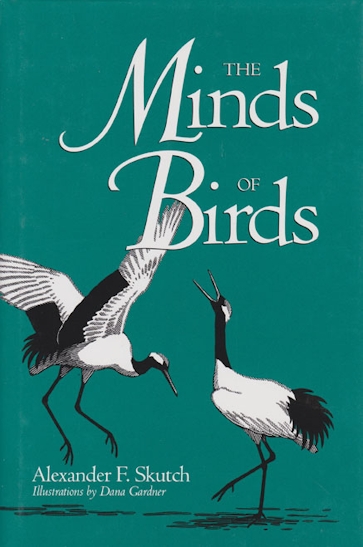 The Minds of Birds