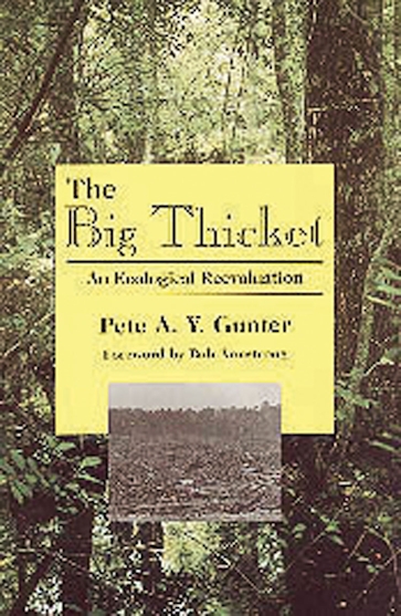 The  Big Thicket