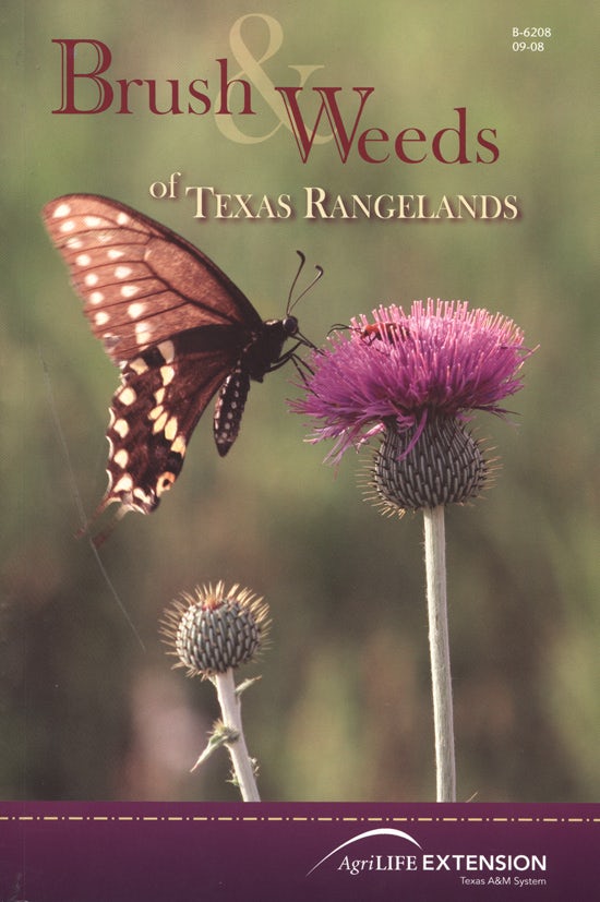 Brush And Weeds Of Texas Rangelands