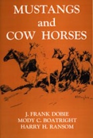 Mustangs and Cow Horses