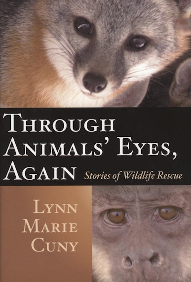 Through Animals' Eyes, Again