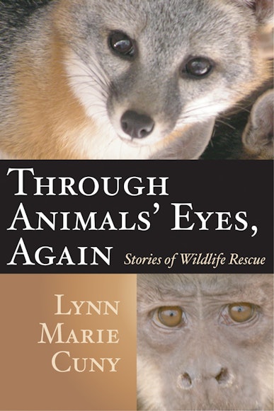 Through Animals' Eyes, Again