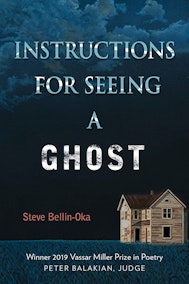 Instructions for Seeing a Ghost