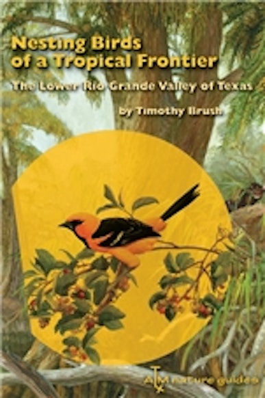 Nesting Birds of a Tropical Frontier