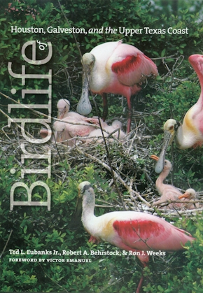 Birdlife of Houston, Galveston, and the Upper Texas Coast
