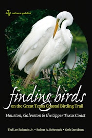 Finding Birds on the Great Texas Coastal Birding Trail