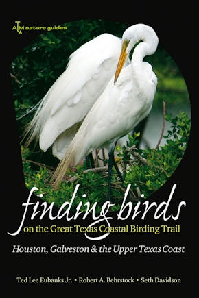 Finding Birds on the Great Texas Coastal Birding Trail