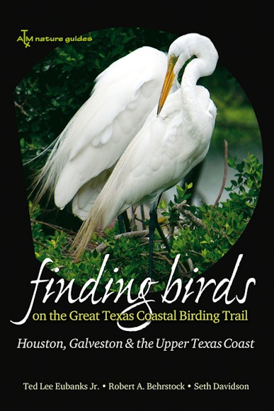 Finding Birds on the Great Texas Coastal Birding Trail