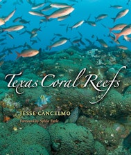 Texas Coral Reefs