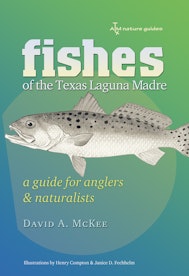 Fishes of the Texas Laguna Madre