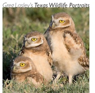 Greg Lasley’s Texas Wildlife Portraits