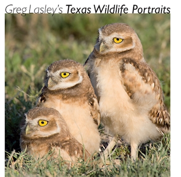 Greg Lasley’s Texas Wildlife Portraits