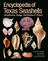 Encyclopedia of Texas Seashells