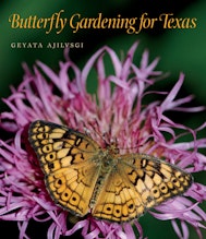 Butterfly Gardening for Texas
