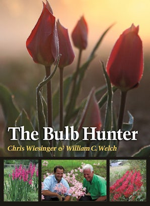 The Bulb Hunter