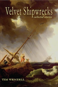 Velvet Shipwrecks: Collected Stories