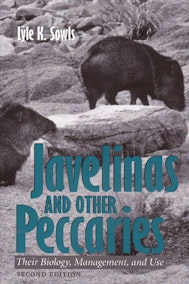 Javelinas and Other Peccaries