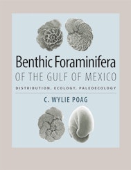 Benthic Foraminifera of the Gulf of Mexico