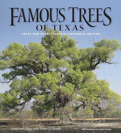 Famous Trees of Texas