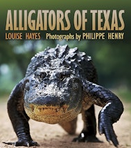 Alligators of Texas