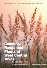 Common Rangeland Plants of West Central Texas