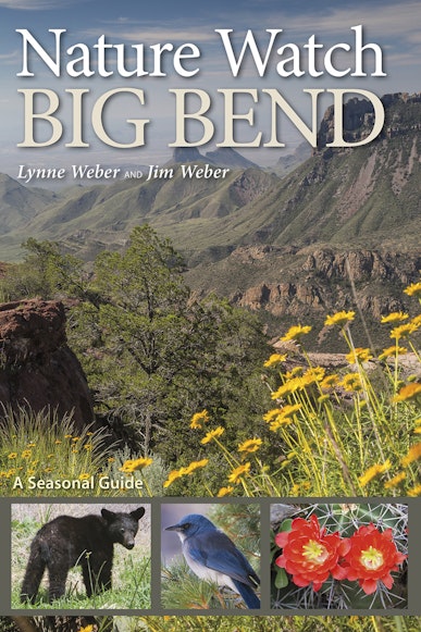 Nature Watch Big Bend
