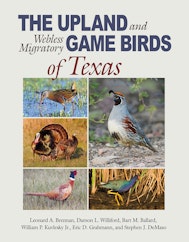 The Upland and Webless Migratory Game Birds of Texas