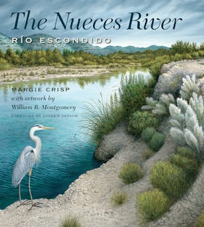 The Nueces River