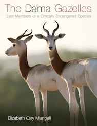 The Dama Gazelles