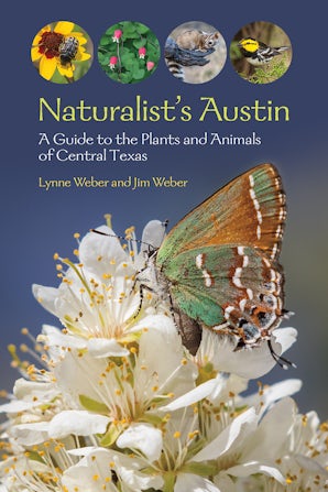 Naturalist's Austin