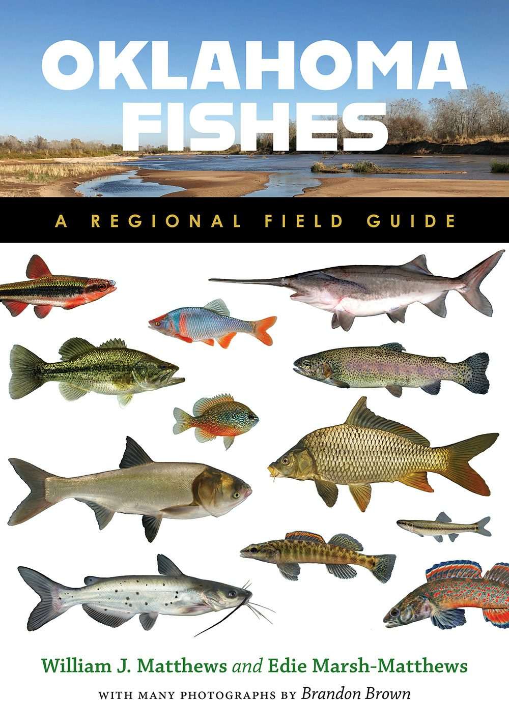 Oklahoma Fishes