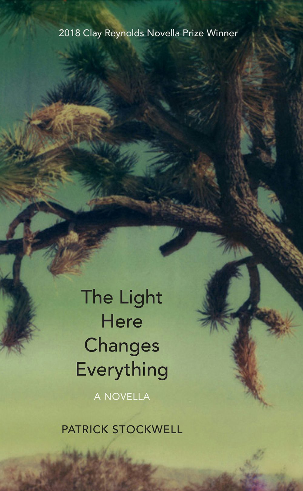 light changes everything by nancy e turner