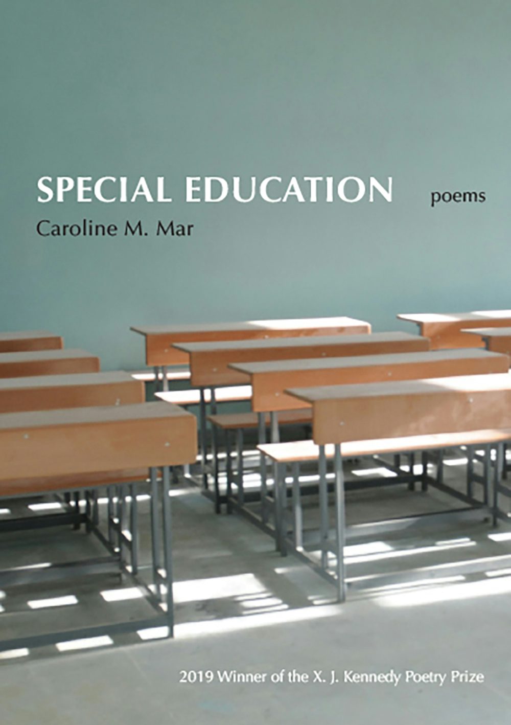 download special education
