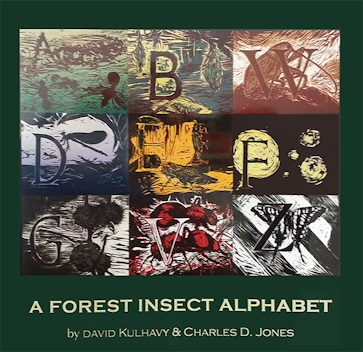 Forest Insect Alphabet